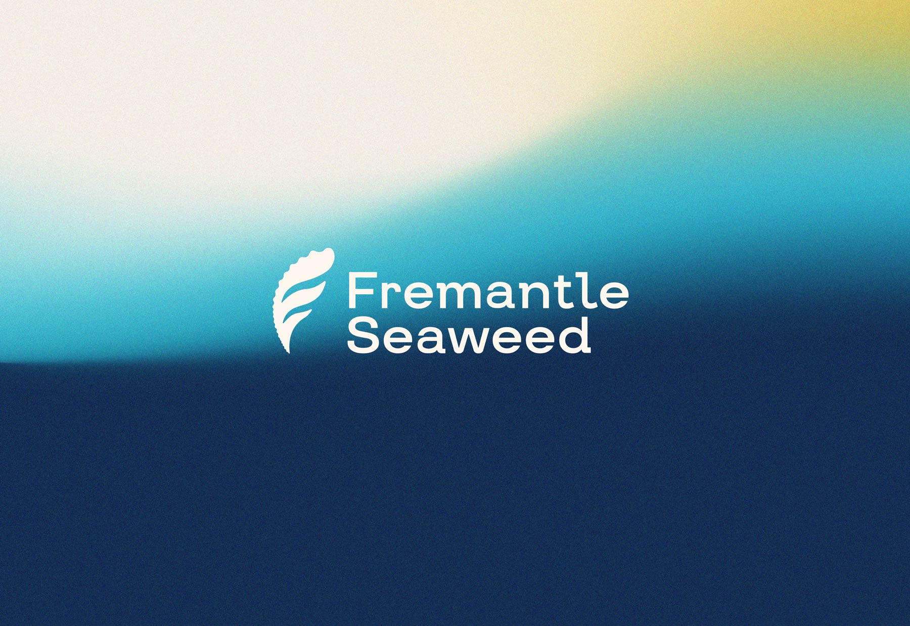 Freamantle Seaweed logo and brand design