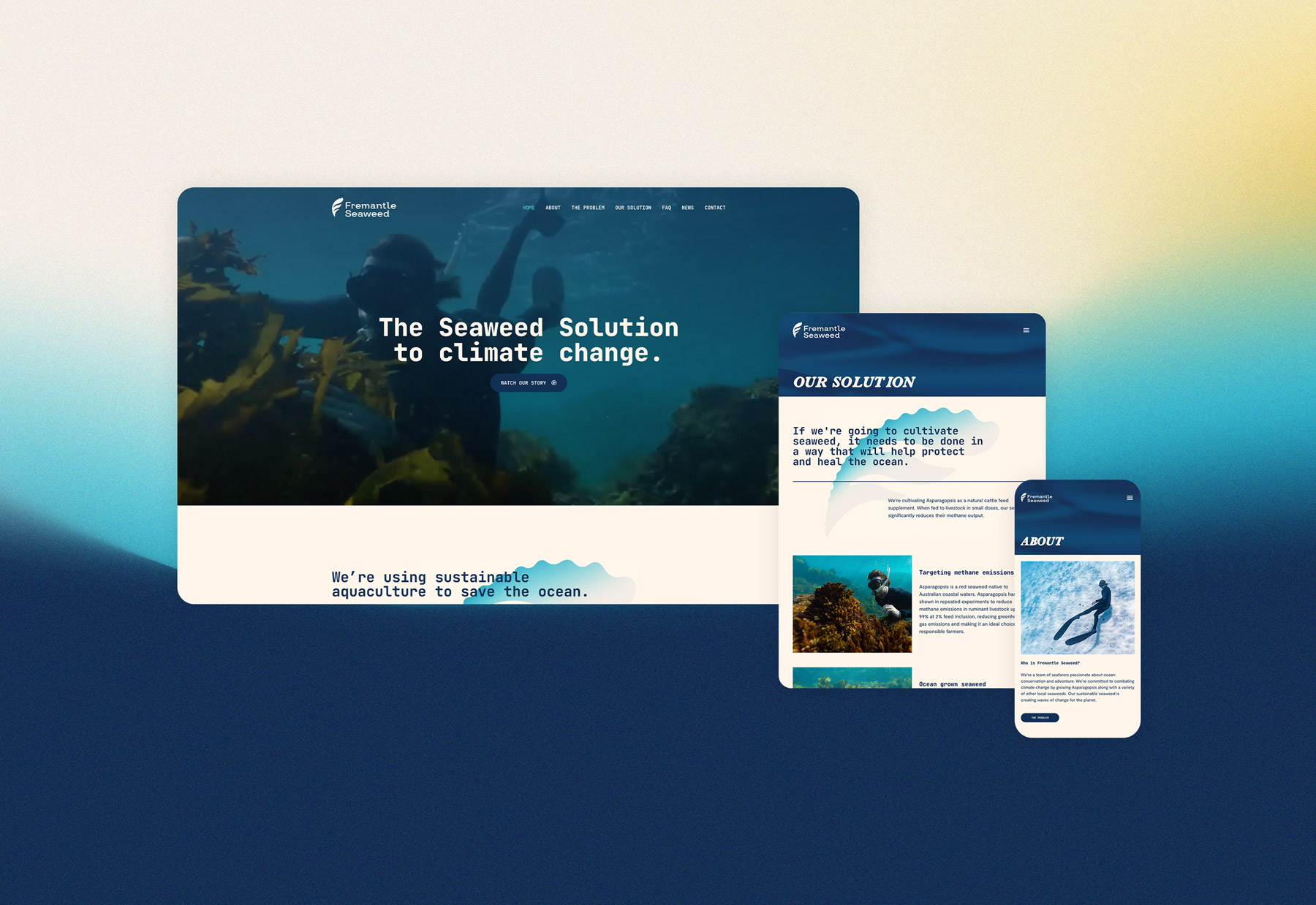 Fremantle Seaweed website design and development